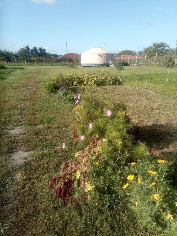 Jurtafarm Rackeve - A Nomad Luxus Hotel Bagian luar foto